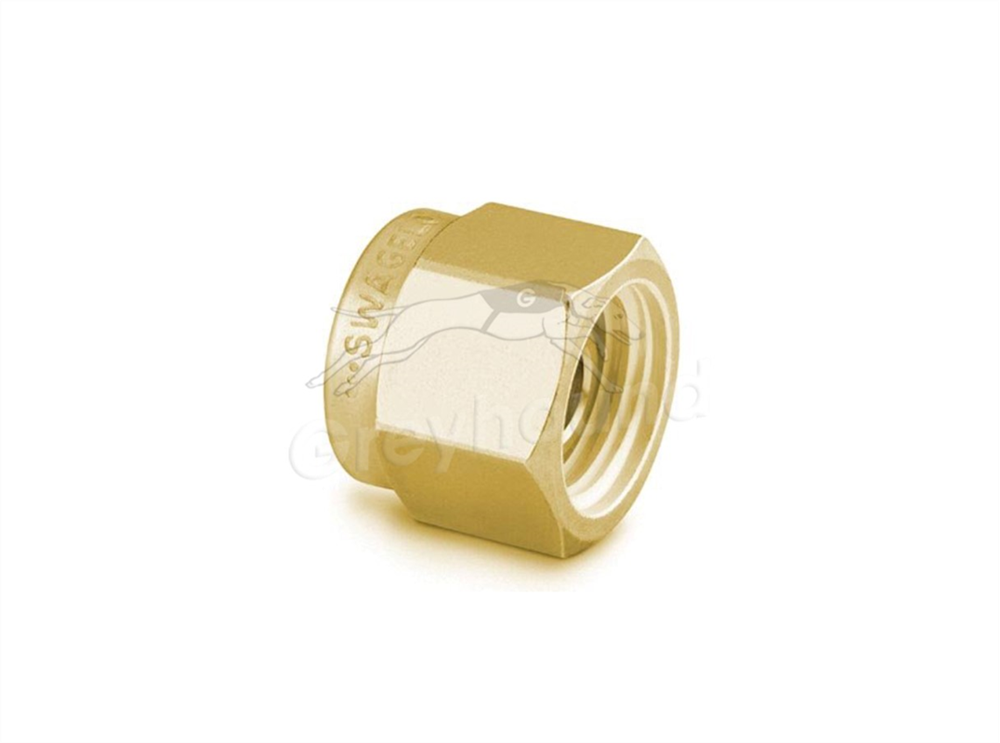 Picture of Plug 1/8" Brass Swagelok